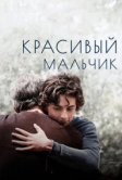 Красивый мальчик (2018)